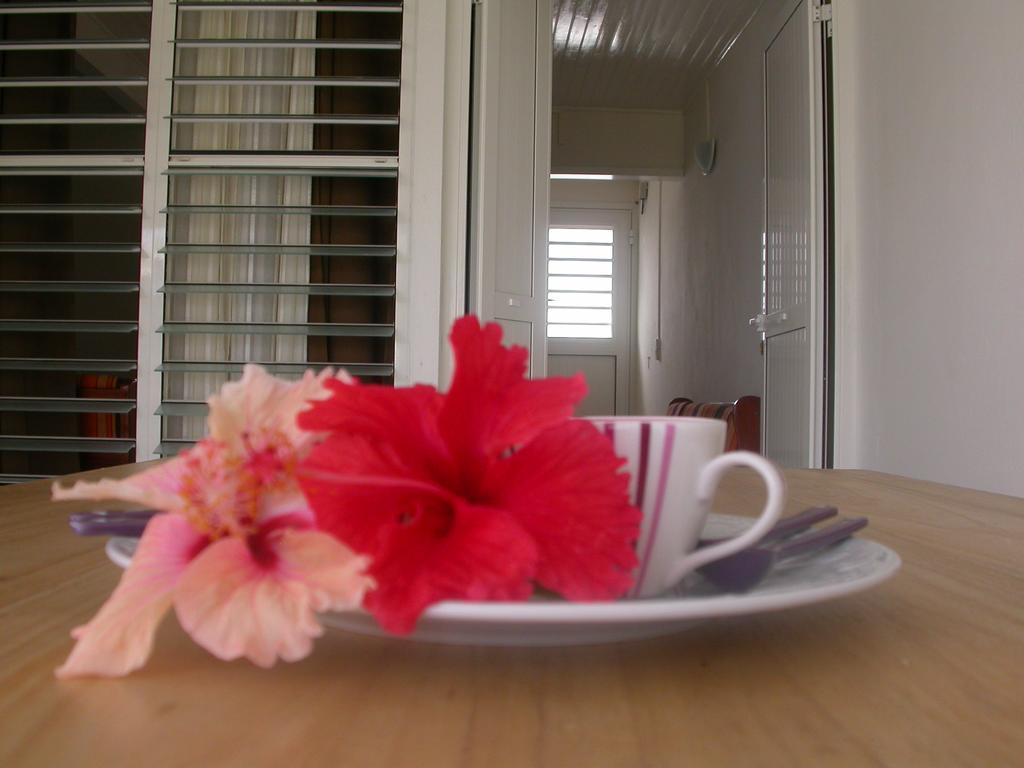 فيلا Maison De Vacances A St Anne Martinique سانت آن المظهر الخارجي الصورة